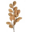 Eurofirany KW/FLORE/733/BEIGE BEIGE Eurofirany KW/FLORE/733/BEIGE BEIGE