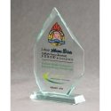 Tryumf LuxorJet color printed glass trophy and case Tryumf LuxorJet color printed glass trophy and case