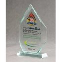 Tryumf LuxorJet color printed glass trophy and case Tryumf LuxorJet color printed glass trophy and case