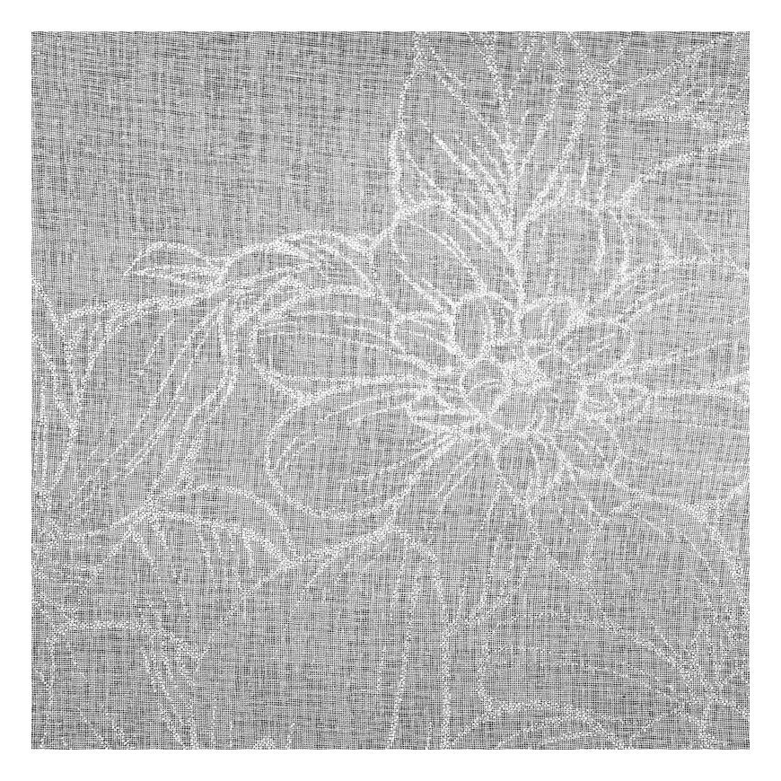 Eurofirany FIR/ANITA/B+SRE 140X270 PRZEL – 4