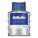 Gillette Arctic Ice After Shave Splash Gillette Arctic Ice After Shave Splash