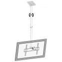TV OR MONITOR HOLDER BRATECK-PLB-CE344 TV OR MONITOR HOLDER BRATECK-PLB-CE344