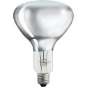 Philips infraraudonųjų spindulių šildytuvas 375W R125 IR CL 1CT Philips infraraudonųjų spindulių šildytuvas 375W R125 IR CL 1CT