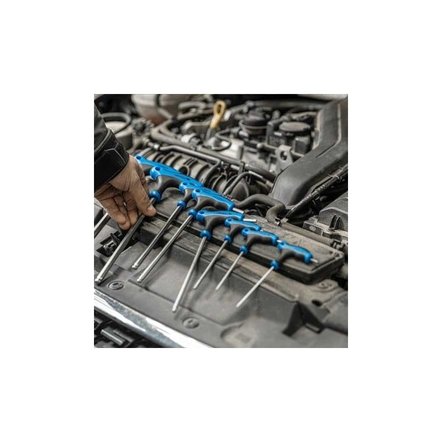 Hogert Technik HOGERT TORX SU RANKENE komplektas 10el. – 4