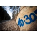 Koka marķieris Distein neona dzeltens 500ml, Motip Koka marķieris Distein neona dzeltens 500ml, Motip