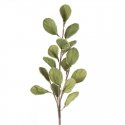 Eurofirany KW/FLORE/733/SEE SOUL Eurofirany KW/FLORE/733/SEE SOUL