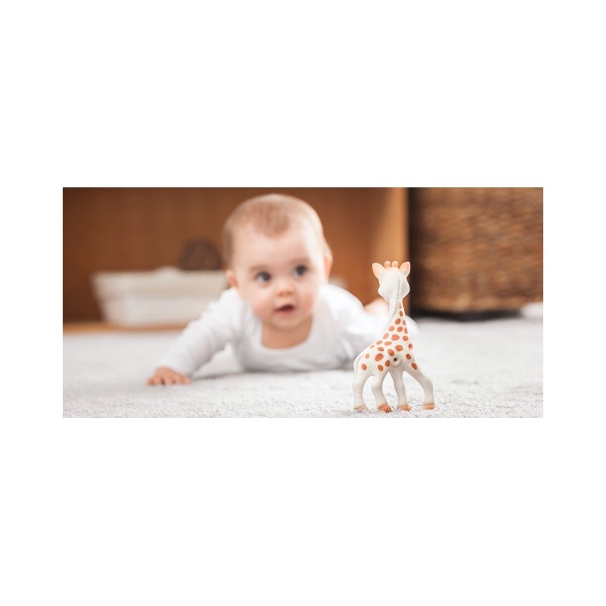 Sophie the Giraffe Sophie the Giraffe – 2