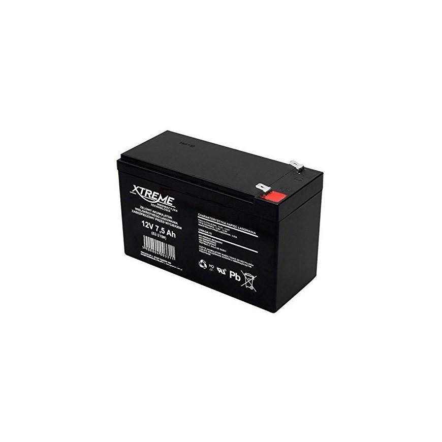 BLOW 82-219 XTREME Rechargeable battery 12V