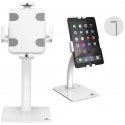 Maclean MC-468W Universal Tablet Holder with Lock Function, 7.9-11 Inch Desktop or Wall Mount, Sturdy Desktop Stand for Tablets,