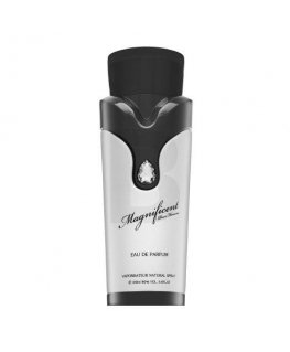 Armaf Magnificent Pour Homme EDP M 100 ml