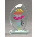 Tryumf LuxorJet color printed glass trophy and case Tryumf LuxorJet color printed glass trophy and case