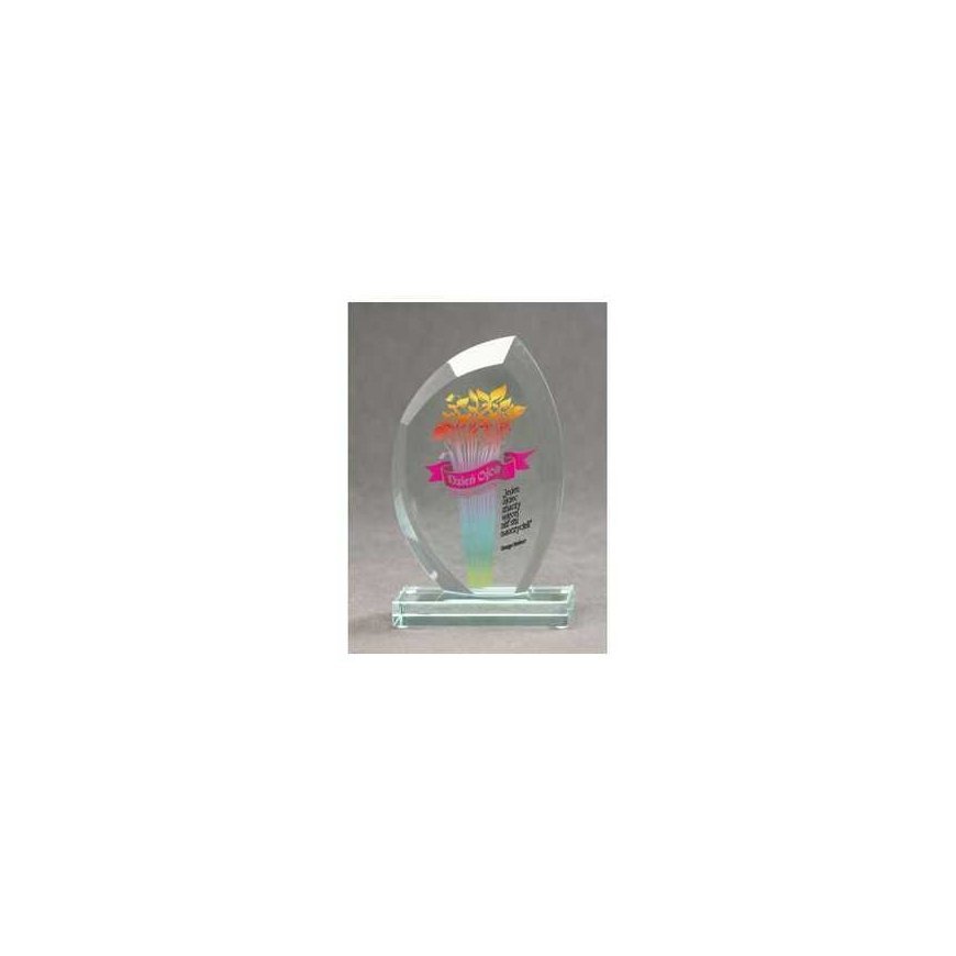 Tryumf LuxorJet color printed glass trophy and case – 2