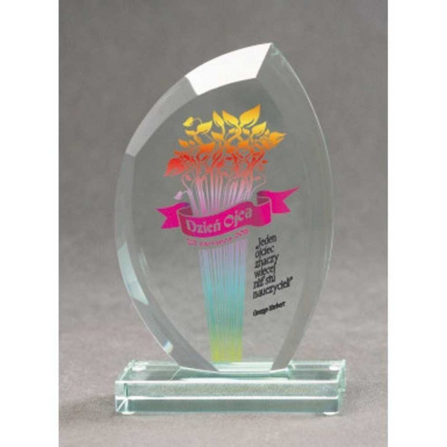 Tryumf LuxorJet color printed glass trophy and case – 4