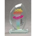 Tryumf LuxorJet color printed glass trophy and case Tryumf LuxorJet color printed glass trophy and case