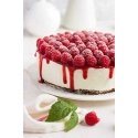 Patisse brūkšnio formos 26 cm pilkas plienas