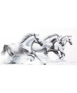 luca S White horses SB495