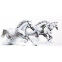 luca S White horses SB495 luca S White horses SB495
