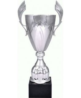 Tryumf Silver metal cup 4127B