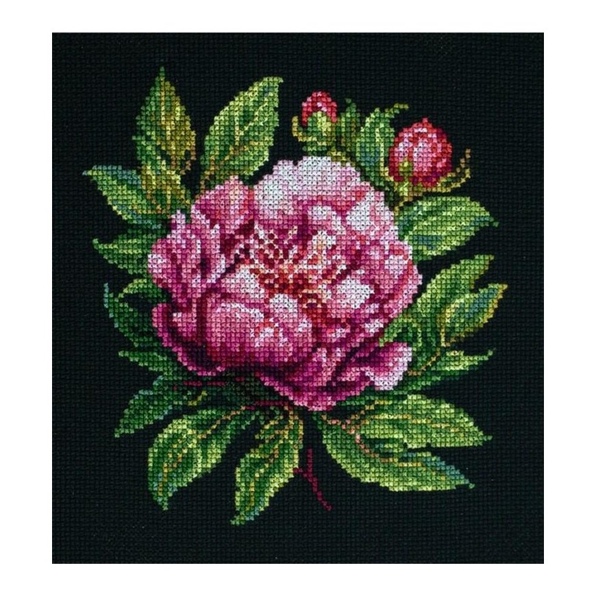 luca S Counted Cross Stitch Kit with Hoop Included Peter Brand Peony 12x13cm SBC204 – 2