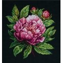 luca S Counted Cross Stitch Kit with Hoop Included Peter Brand Peony 12x13cm SBC204 luca S Counted Cross Stitch Kit with Hoop Included Peter Brand Peony 12x13cm SBC204