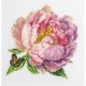 luca S Suskaičiuotas siuvinėjimo kryželiu rinkinys su lanku, įtrauktas „Rozella“ bijūnas 12x12 cm SBC206 luca S Suskaičiuotas siuvinėjimo kryželiu rinkinys su lanku, įtrauktas „Rozella“ bijūnas 12x12 cm SBC206