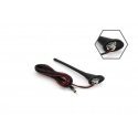 Amio Car antenna with ant04 amplifier Amio Car antenna with ant04 amplifier