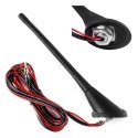 Amio Car antenna with ant04 amplifier Amio Car antenna with ant04 amplifier