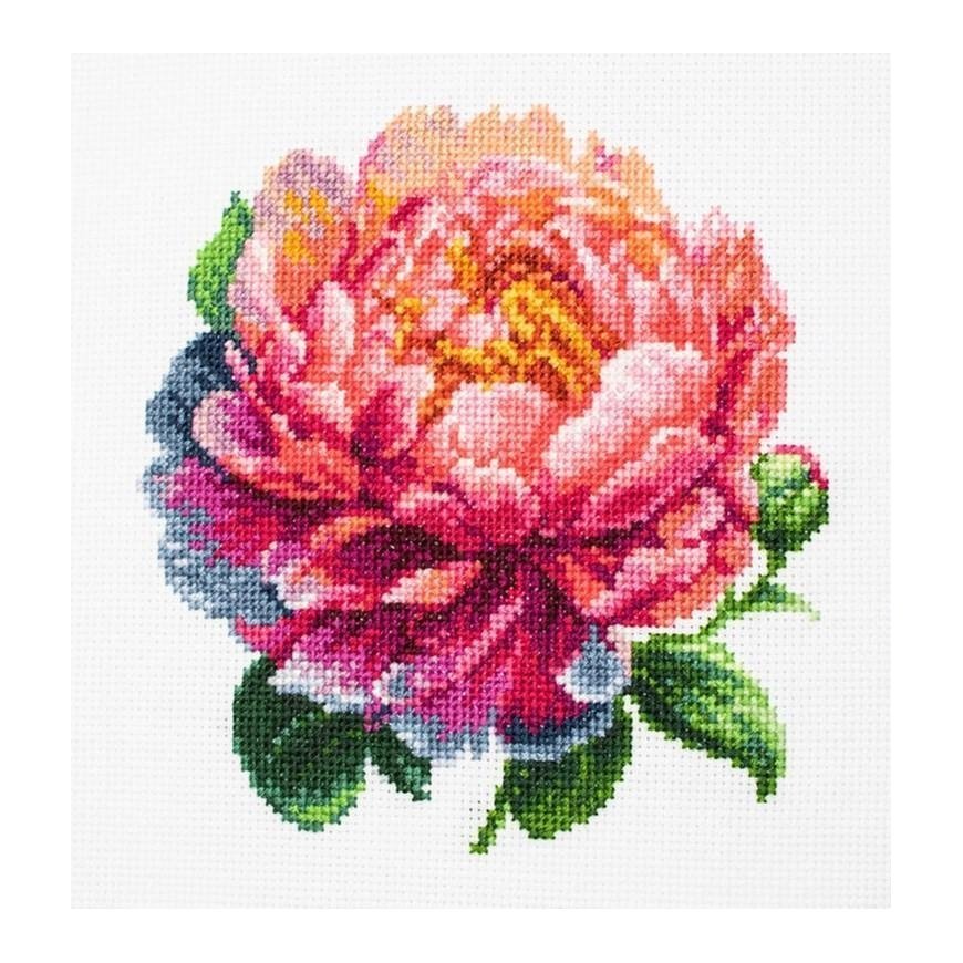 luca S Suskaičiuotas siuvinėjimo kryželiu rinkinys su lanku, įtrauktas „Coral Charm“ bijūnas 12x12 cm SBC205 – 2