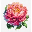 luca S Suskaičiuotas siuvinėjimo kryželiu rinkinys su lanku, įtrauktas „Coral Charm“ bijūnas 12x12 cm SBC205 luca S Suskaičiuotas siuvinėjimo kryželiu rinkinys su lanku, įtrauktas „Coral Charm“ bijūnas 12x12 cm SBC205