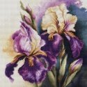 luca S Counted cross stitch kit "Iris Burgermeister" 22x22cm SB7023 luca S Counted cross stitch kit "Iris Burgermeister" 22x22cm SB7023