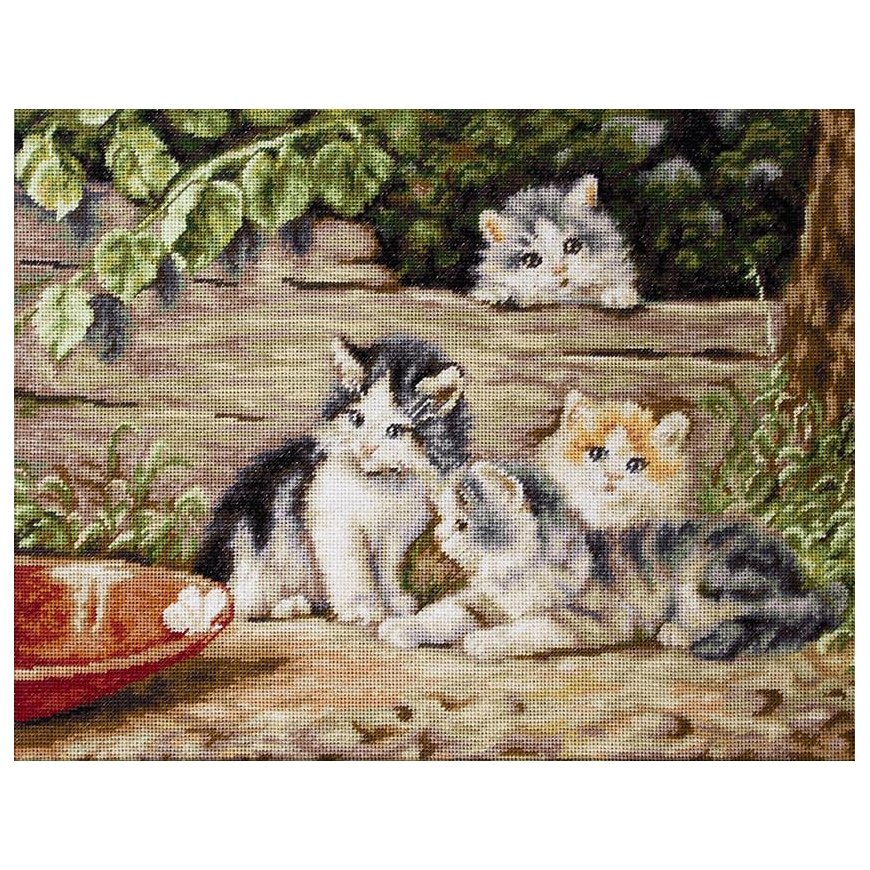 Luca S luca S Cats SG556