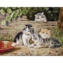 luca S Cats SG556 luca S Cats SG556