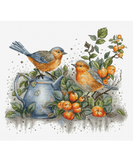 luca S Counted cross stitch kit "Bird song" 26x23cm SBU5031