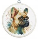 luca S Counted Cross Stitch Kit with Hoop Included French Bulldog 15x15cm SBC207 luca S Counted Cross Stitch Kit with Hoop Included French Bulldog 15x15cm SBC207