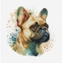 luca S Counted Cross Stitch Kit with Hoop Included French Bulldog 15x15cm SBC207 luca S Counted Cross Stitch Kit with Hoop Included French Bulldog 15x15cm SBC207