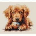 luca S The Play Time Counted Cross Stitch Kit 22x19cm SBU5037 luca S The Play Time Counted Cross Stitch Kit 22x19cm SBU5037