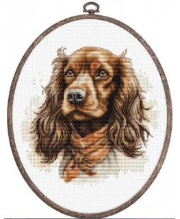 luca S Counted Cross Stitch Kit with Hoop Included Cocker Spaniel 16x16cm SBC223