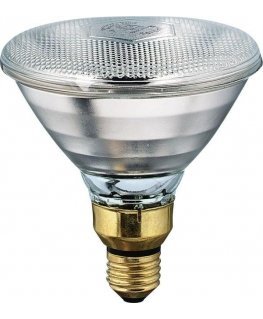 Incandescent bulb Philips E27 175 W