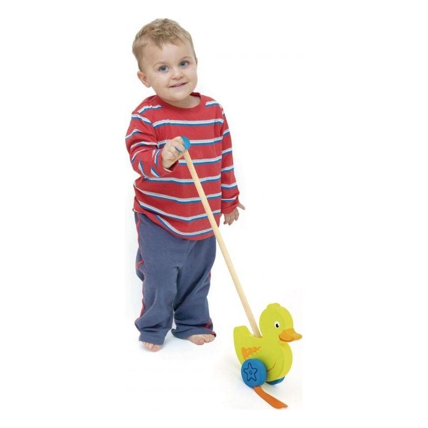 Wooden push toy - Antytė Viga