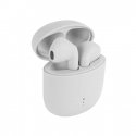 Setty Bluetooth earphones TWS with a charging case TWS-0 white Setty Bluetooth earphones TWS with a charging case TWS-0 white
