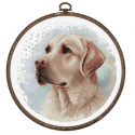 luca S Siuvinėjimo kryželiu rinkinys su lanku Labrador 16x16cm SBC211 luca S Siuvinėjimo kryželiu rinkinys su lanku Labrador 16x16cm SBC211