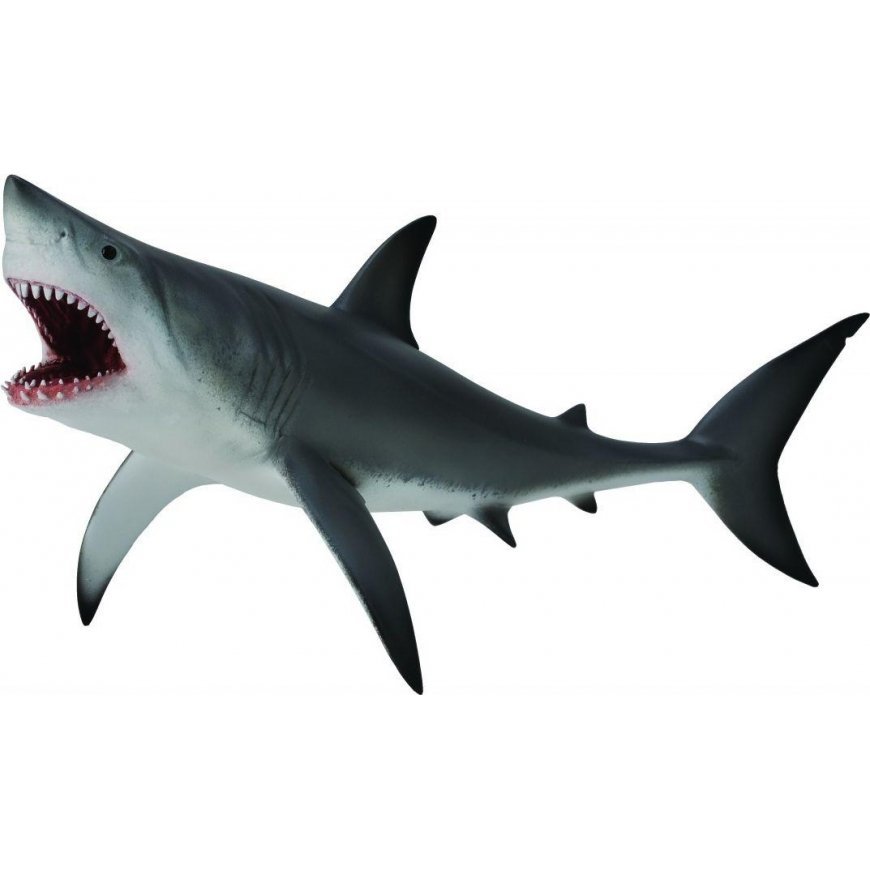 Collecta Figurine Great White Shark (XL) – 2