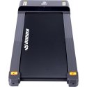 Bear Walk Pro walking mat Bear Walk Pro walking mat