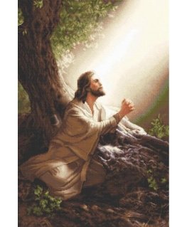 luca S Cross stitch kit Jesus Christ 22x33 cm SG618