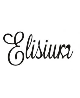 Elisium ELISIUM_Base Coat base for hybrid varnish 9g