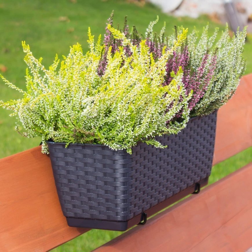 Prosperplast planter box Rato Square anthracite – 5
