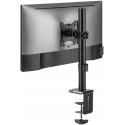 Maclean LCD monitor desk mount, VESA 75x75 and 100x100, 17-32" 9kg, MC-751N
