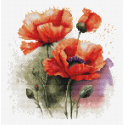 luca S Counted Cross Stitch Kit "Poppy Flowers" 21x21 cm SB7024 luca S Counted Cross Stitch Kit "Poppy Flowers" 21x21 cm SB7024
