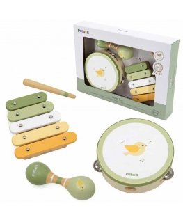 Viga Toys VIGA PolarB Rinkinys Instrumentów Muzycznych Žalias