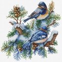 luca S Cross Stitch Kit The Birds-Winter 21 x 21 cm SB2418 luca S Cross Stitch Kit The Birds-Winter 21 x 21 cm SB2418